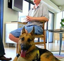 Dog dials 911 after owner suffers seizure