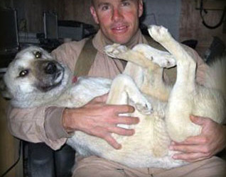 Marine Reunited With Dog He Rescued In Iraq