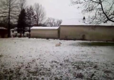 Blanca’s First Ever Snowfall