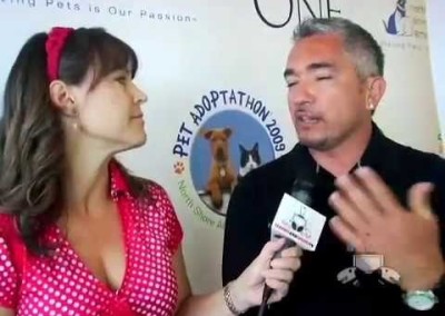 Cesar Millan Gives Advice on Picking Out the Right Dog for You!