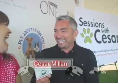Cesar Millan says Leashes and Lovers is Where Balanced People Meet!