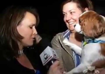 Dog Lover Seeks New Shoes and a Date