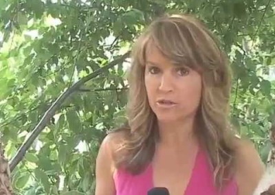 Greyhound Breed – How unusual is it? by The Dog Lovers Matchmaker