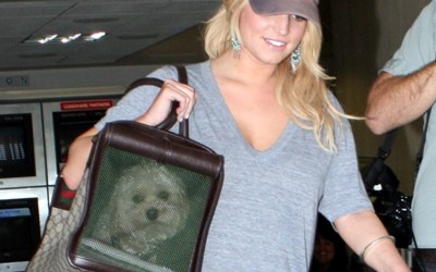Jessica Simpson and her dog Daisy!