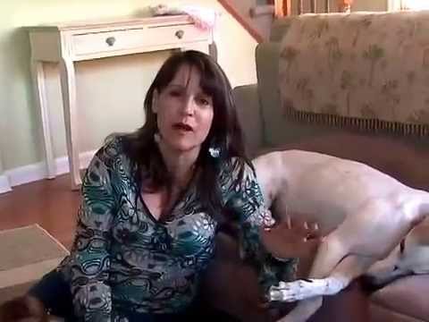 Sheryl Matthys The Dog Expert at Home