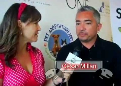 The Dog Expert Speaks!